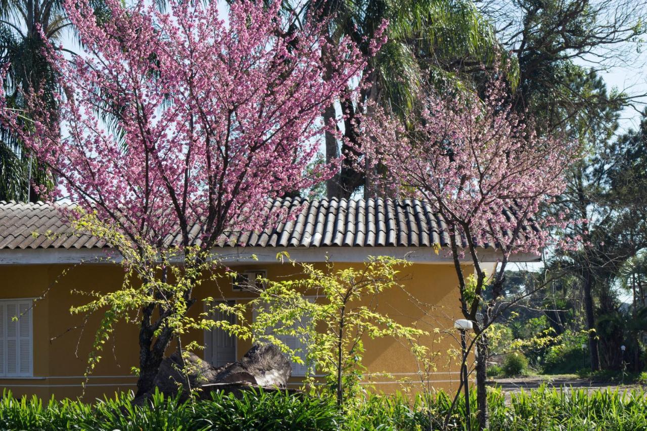 Voa Curitiba Park Hotel 哥伦布 外观 照片